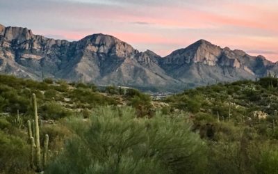 Top Things to See & RV Parks to Stay at in Tucson