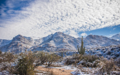 Where to See Snow While RV Camping in Arizona